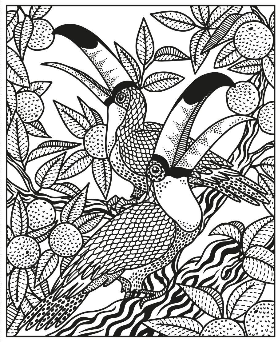 Magic Painting Book - Wild Animals - Leah Jean Boutique