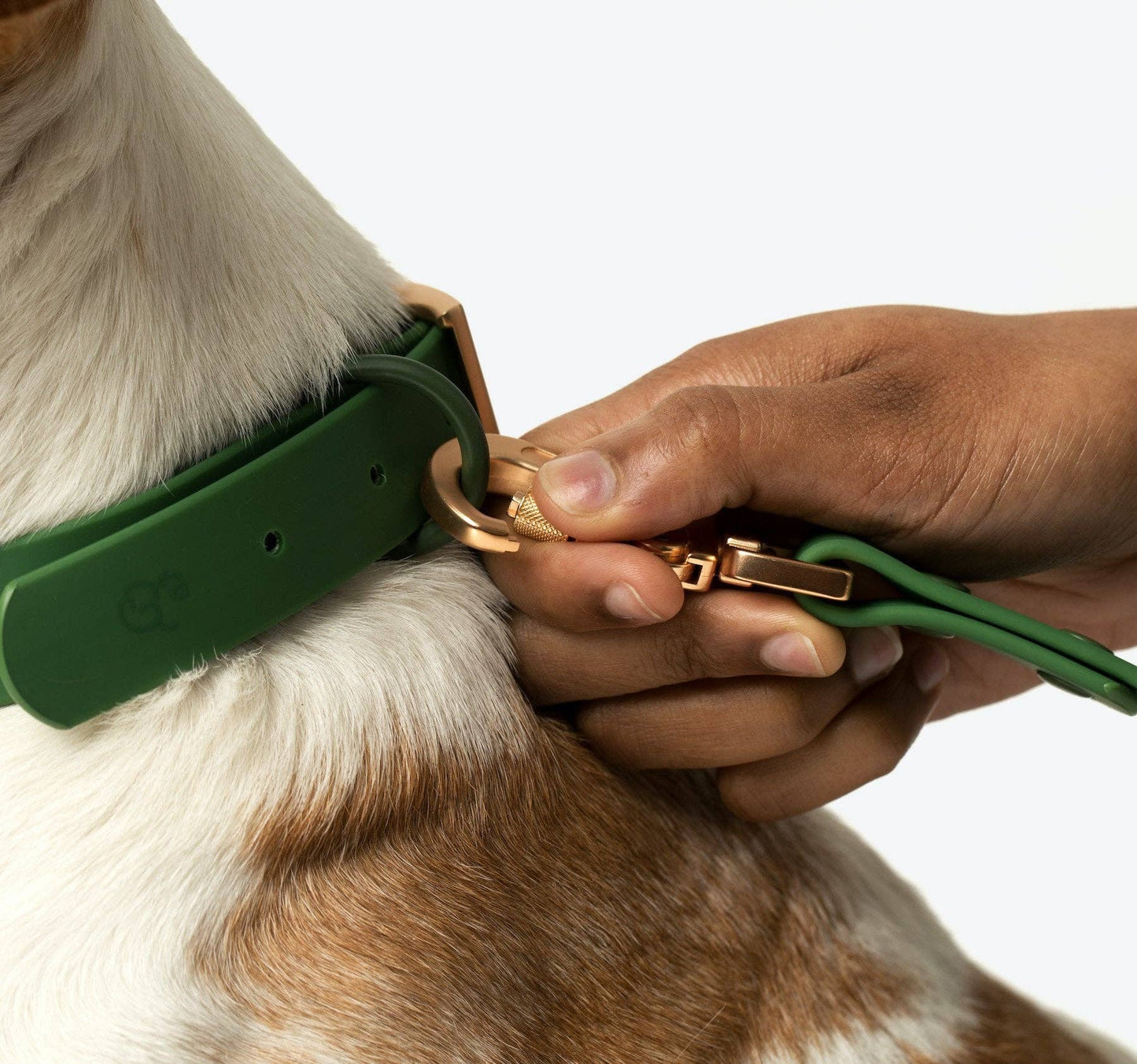 Pine Everyday PVC Leash - Leah Jean Boutique