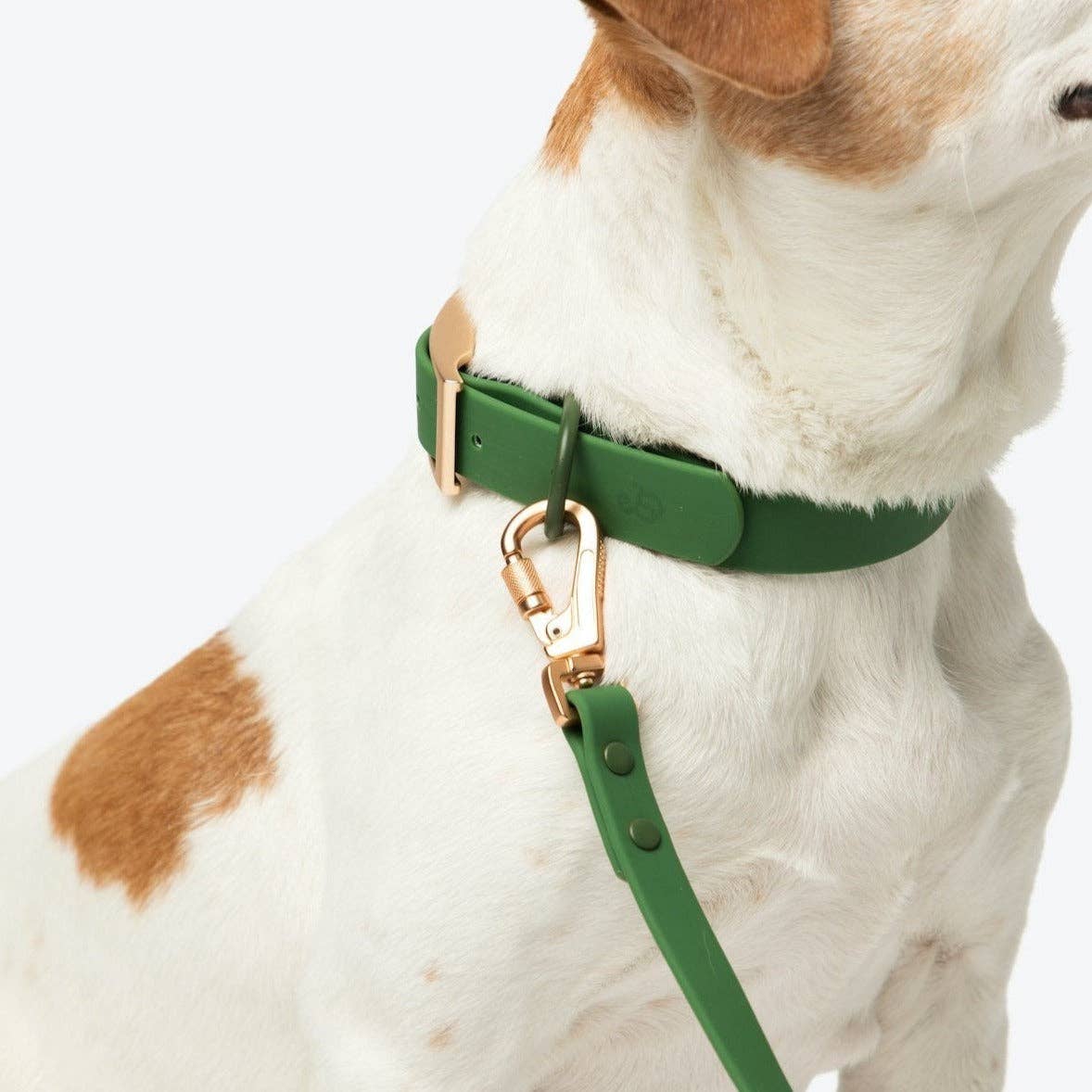 Pine Everyday PVC Leash - Leah Jean Boutique