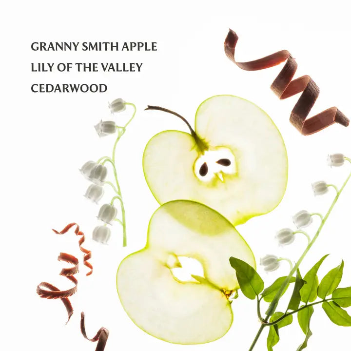 Applelicious Power Mist Hydrating Hand Sanitizer - Leah Jean Boutique
