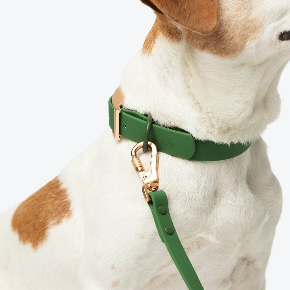 Pine Everyday PVC Collar - Leah Jean Boutique