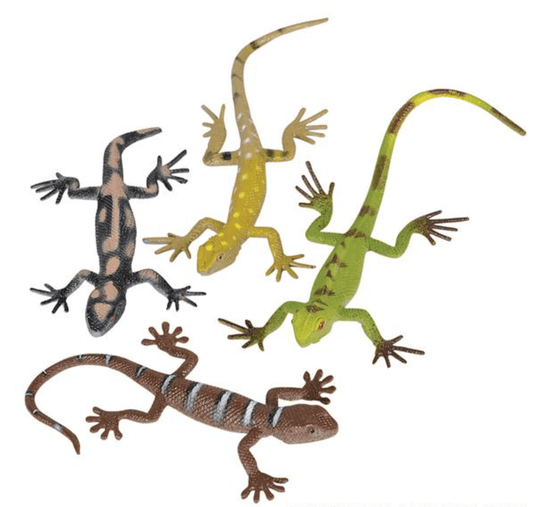 Lizards