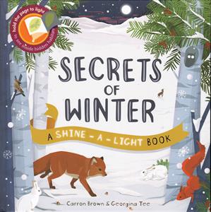 Shine A Light: Secrets Of Winter