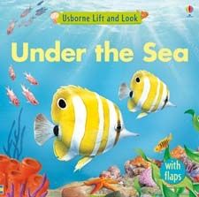 Lift and Look: Under the Sea
